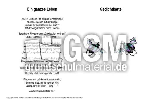 Ein-ganzes-Leben-Ringelnatz.pdf
